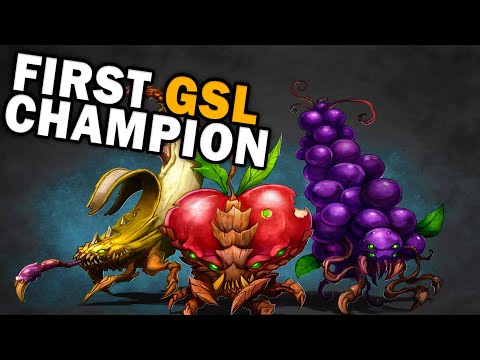 The first GSL StarCraft 2 Champion - Fruitdealer