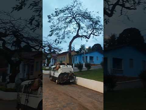 27/08/26, Abaiba, Distrito de Leopoldina.#turismo #viagem #abaiba #leopoldina #minasgerais