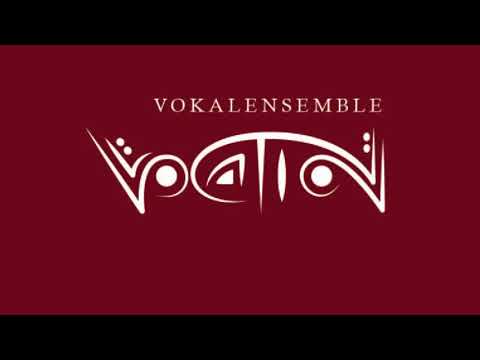 Vokalensemble Vocation - Crosby, Stills & Nash - Helplessly Hoping