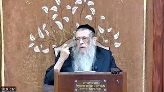 הגה"ח הרב וועכטר שליטא כ"ד חשון תשפ"ה  ליקוטי שיחות חלק כ"ג שבועות ב חלק ח (הרב אברהם מנחם מענדל וכטר) - התמונה מוצגת ישירות מתוך אתר האינטרנט יוטיוב. זכויות היוצרים בתמונה שייכות ליוצרה. קישור קרדיט למקור התוכן נמצא בתוך דף הסרטון