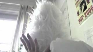 Happy Camper - Born With A Bothered Mind (cover)