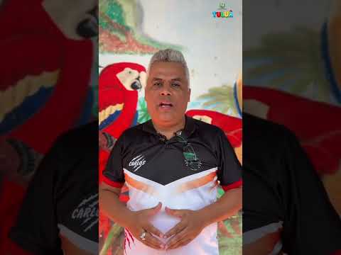 Vídeo Colegio Instituto Rafael Pombo