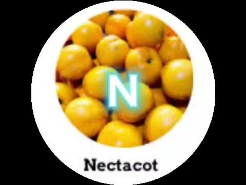 Fruits start with A-Z all letters