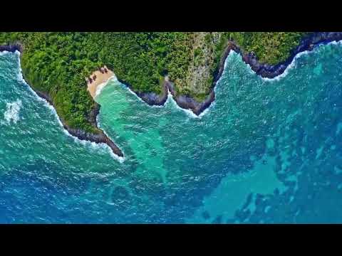 Alan Watts The Art of Letting Things Happen - Why Letting Things Go Is True Wealth