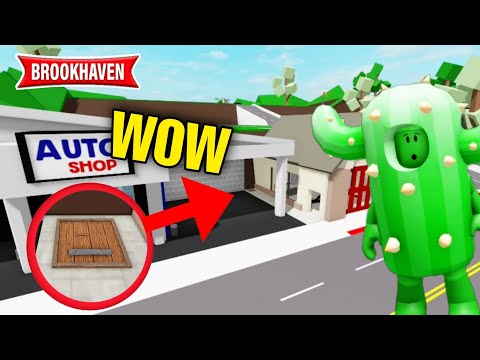 CACTUS ET LA MYSTÉRIEUSE TRAPPE DE BROOKHAVEN ! ROBLOX - BROOKHAVEN RP
