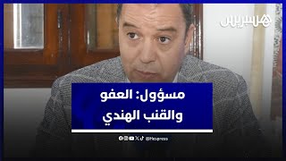 مسؤول: العفو الملكي سيشجع المزارعين على الانخراط في سلسلة القنب الهندي المقنن thumbnail