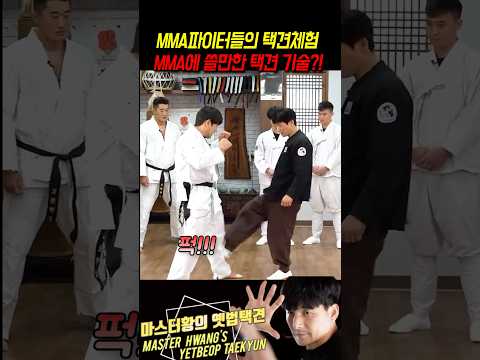 다합처1300만뷰. MMA파이터들의 택견기술 체험!