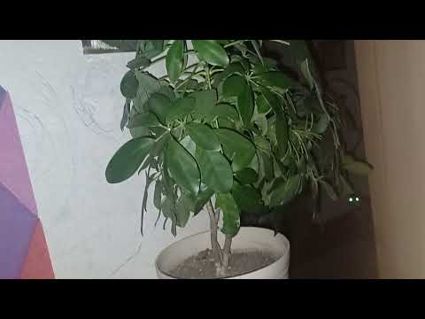 I found something creepy at 3 am