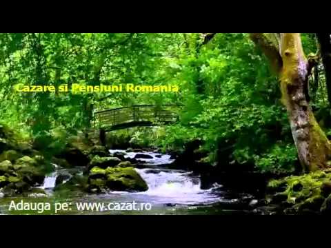 Cazare Chiscau, Bihor - Cazat.ro