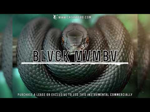 Catana808 beats - BLVCK MVMBV [95 BPM - Bm]