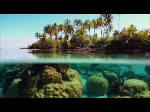 Chris Reece - Keep It Down (Original Mix)