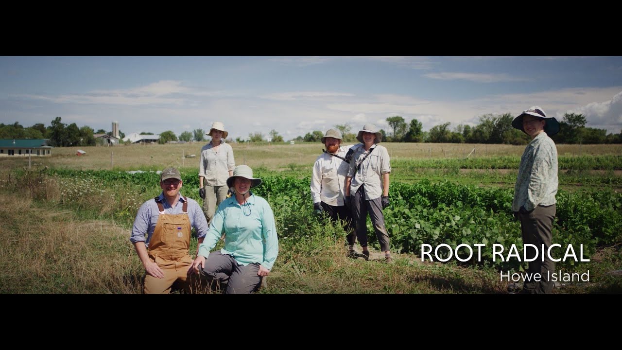 Root Radical Community Shared Agriculture - 6 Oct 2020
