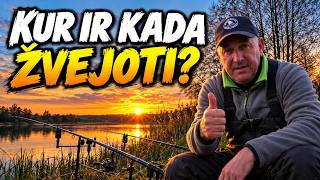 Kur Nereikia Žvejoti