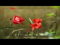 MIKE OLDFIELD - Cuckoo Song