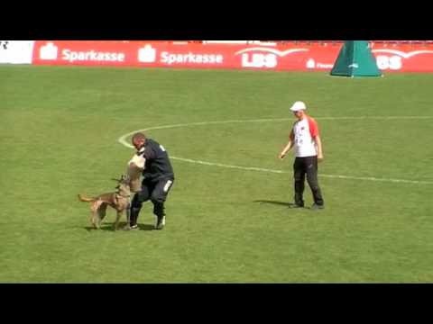 WK FMBB 2010 - Hikmet Sarban - Protection - Grand Finale