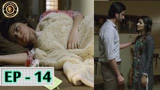 Tumhare Hain Episode 14 - 28th April 2017 - Top Pakistani Drama