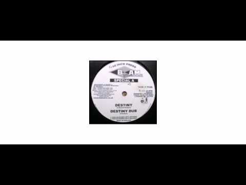 Special A. / Mixman - Destiny / Destination Africa - 10" - Blakamix