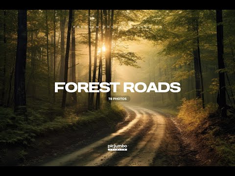 Road Stock Photo