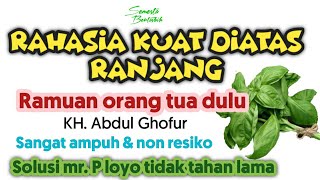 Download lagu Ramuan Alami Atasi Mr. P Loyo Dan Tidak Tahan Lama | KH. Abdul Ghofur mp3 Download lagu Ramuan Alami Atasi Mr. P Loyo Dan Tidak Tahan Lama | KH. Abdul Ghofur mp3