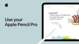 How to use your Apple Pencil Pro | Apple Support