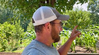 Always a Gamble || Garden Prep & Tomato Starts || July 2025