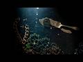 The Deep By PES