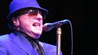 Van Morrison "Why Must I Always Explain", Lokerse Feesten 2016, Belgium