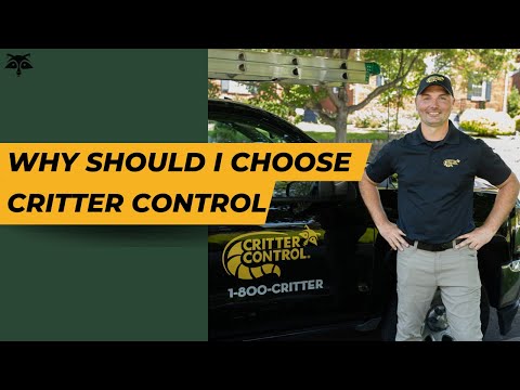 Why should I choose Critter Control? | Critter Control