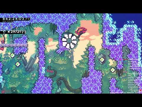 D1D7 Finale | Stream from 09.06.2022