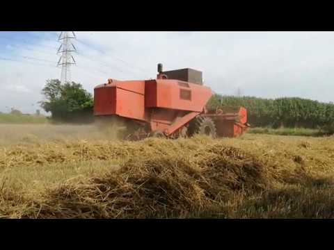Barley harvesting | Laverda m 152 + lama