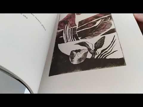 Jana Jebavá: Kalvárie lásky