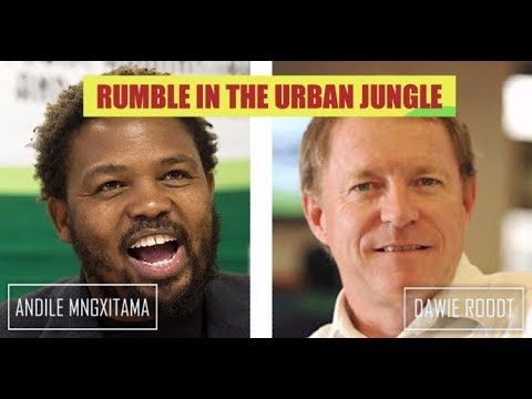Rumble in the Urban Jungle