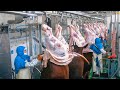 Incredible modern pork processing factory technology & other amazing farming poultry production