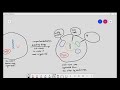 Understanding Organisms: Prokaryotes, Eukaryotes, and Endosymbiosis