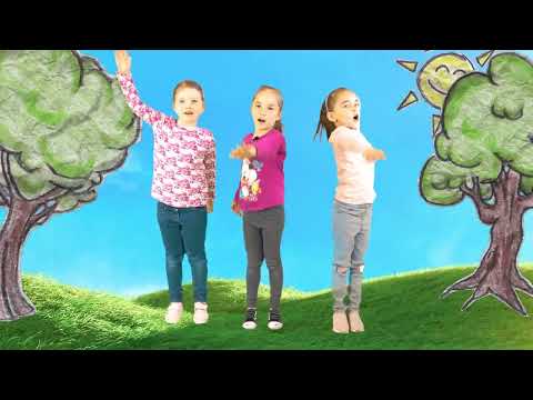 Szalay Könyvek - Lassan forog a kerék