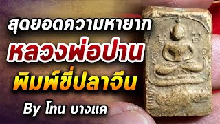 พระหลวงพ่อปาน พิมพ์ขี่ปลาจีน l หยิบกล้องส่องพระ กับโทนบางแค 15/06/63 พระหลวงพ่อปาน พิมพ์ขี่ปลาจีน l หยิบกล้องส่องพระ กับโทนบางแค 15/06/63