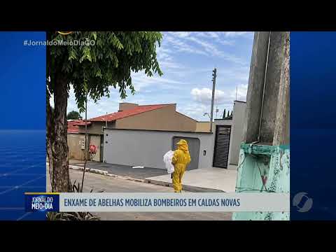 Enxame de abelhas mobiliza bombeiros em Caldas Novas
