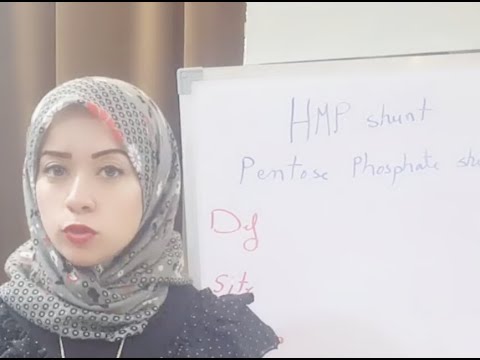 (CHO METABOLISM Biochemistry Session 8)HMP SHUNT PART 1