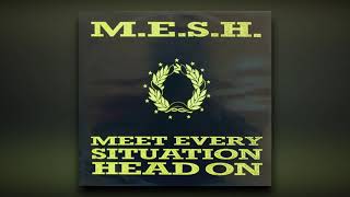 M.E.S.H. | Meet Every Situation Head On [Jackmaster Tab mix]