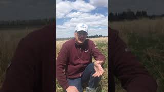 Paradigm Bareground Trial | Intro to Paradigm Pre-seed Performance 1