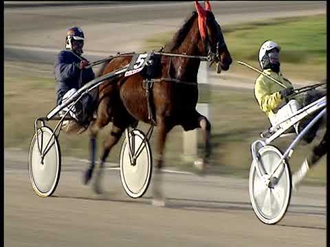 Trotto 22/01/2019 - 2ª corsa