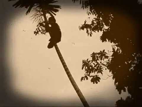 Admiralty X - Chauka.wmv