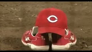 退場回数の多かった監督たちの退場シーンまとめ【中畑・仰木・金田・星野・落合・大沢・ブラウン】