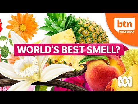 What Is the World's Best (and Worst) Smell?