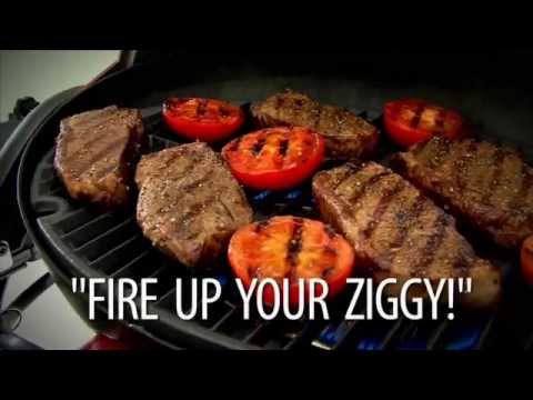 Ziggy by Ziegler & Brown Portable Grill | Barbeques Galore