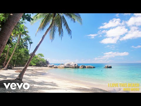 Niko Moon - AMERICAN PALM (Full Album Visualizer)