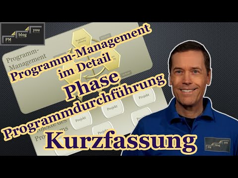 Programm-Management im Detail: Phase Programmdurchführung — Kurzfassung