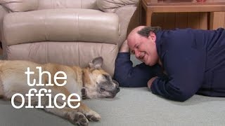 Kevin's Dog - The Office US