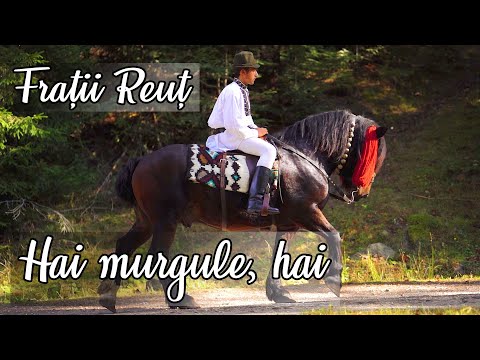 Fratii Reut - Come on, horse | Fanfare dance