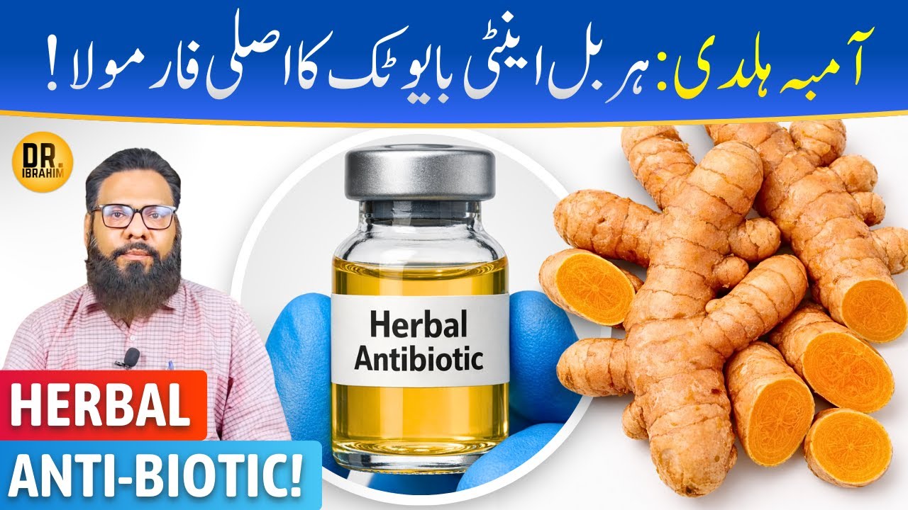 Herbal Antibiotic Ka Asli Formula | Amba Haldi Benefits | Dr. Ibrahim